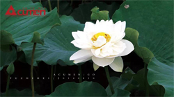 2014奎门员工手机主题摄影比赛纪实